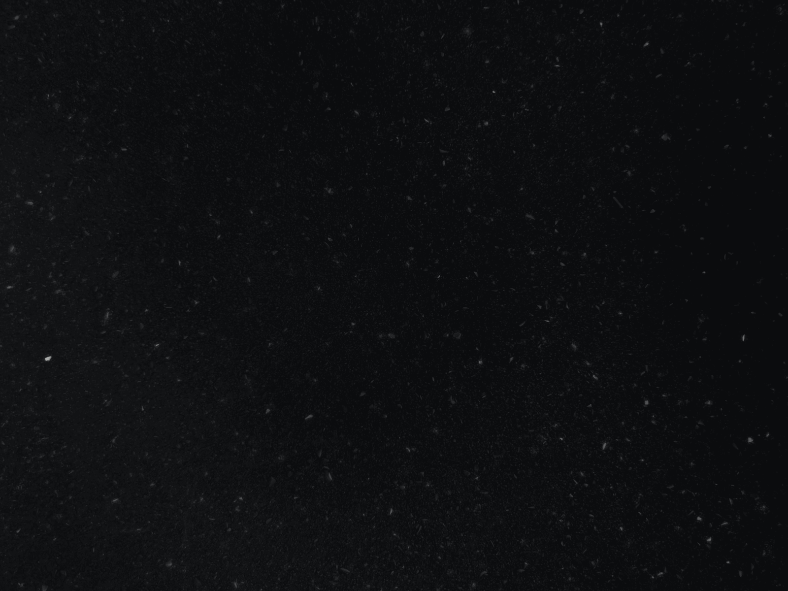 Black Galaxy
